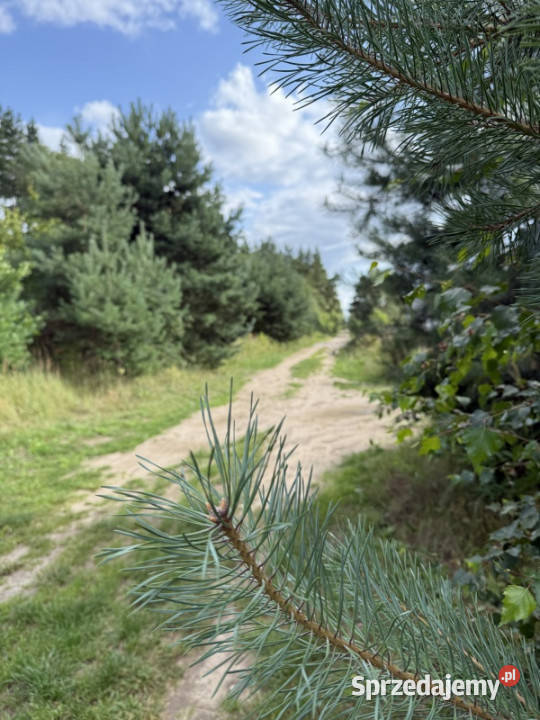 Działka budowlana jeziora sprzedam