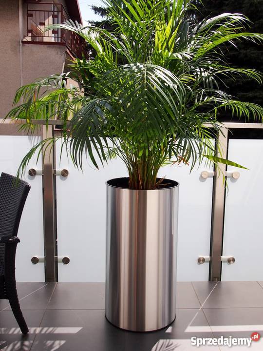 Luksusowe Nowoczesne Donice do Salonu Biura Kraków sprzedam