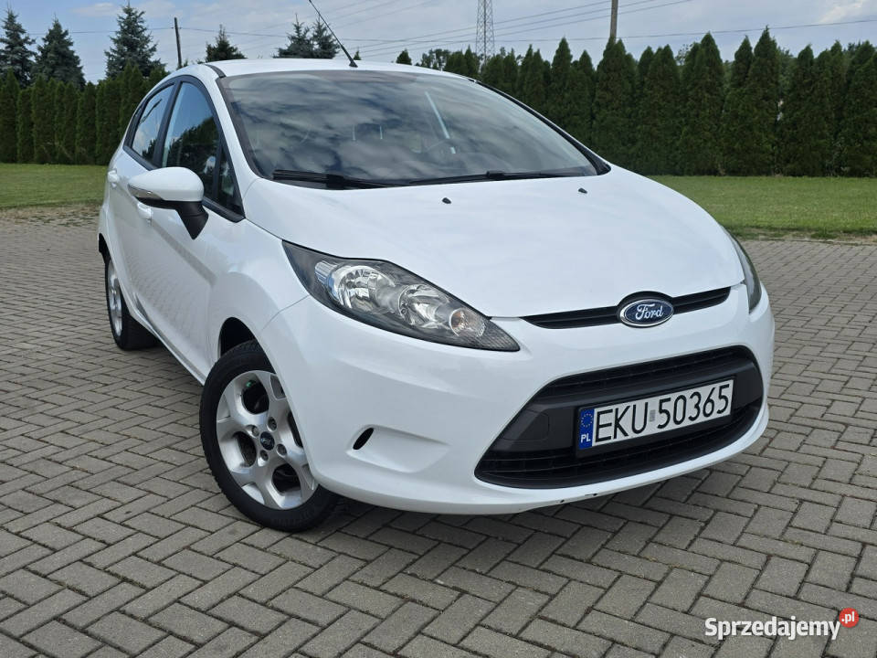Ford Fiesta 125benz lakier metallic Kutno