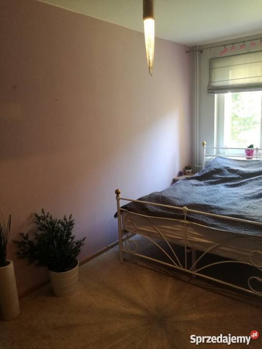 M4 Retkinia 53mkw 1 piętro loggia Piętro 1 Łódź