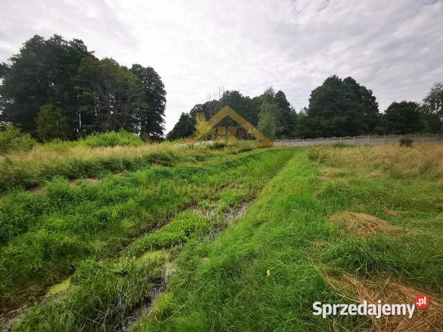 sprzedaży działki Henryszew 5661m2 Sprzedaż sprzedam
