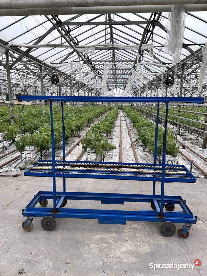 Wózek rolkowy szklarniowy do zbioru warzyw Śmigiel
