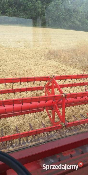 Koszenie zbóż orka gruberowanie Pozostałe Małogoszcz