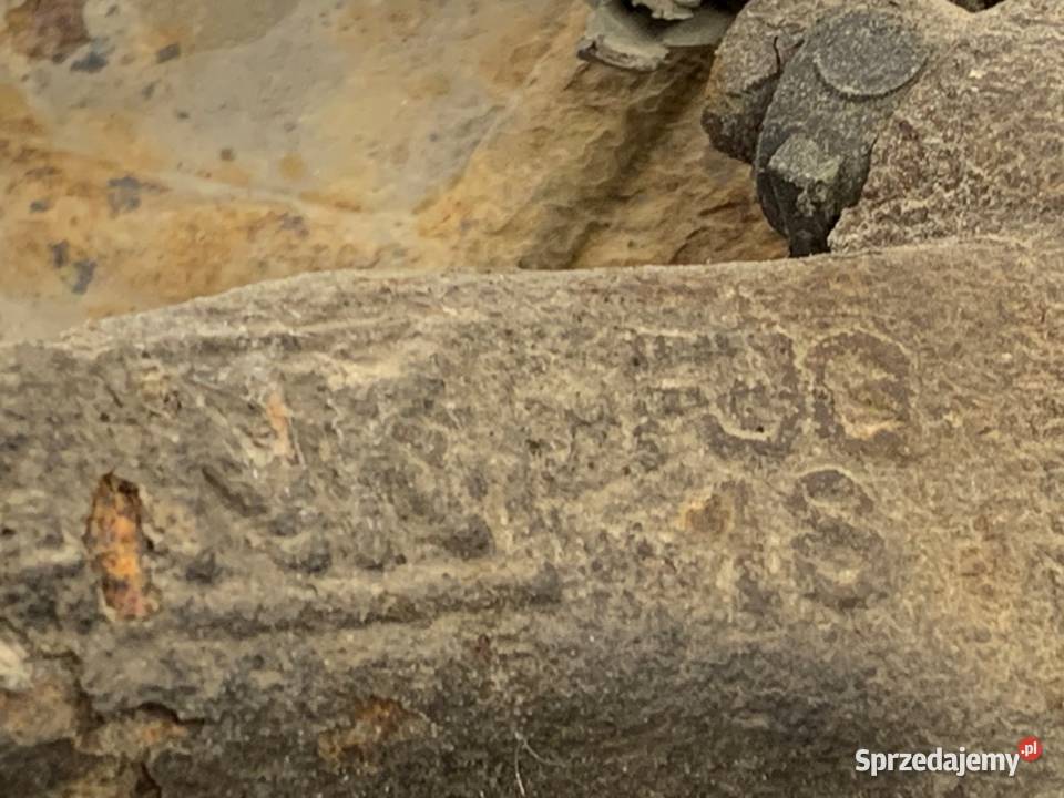 ZWROTNICA LEWY PRZÓD VW TOURAN 19 105 0310