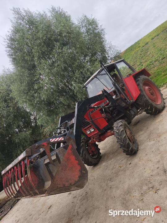 MTZ 82 tur łyżkokrokodyl Skrzynia biegów Manualna Kózki