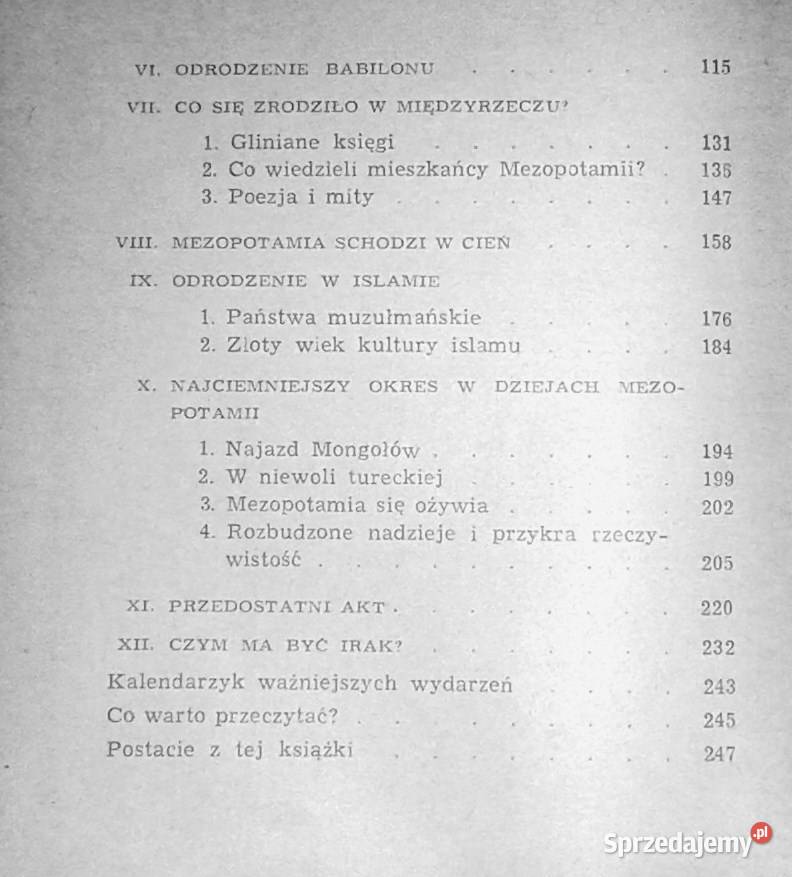 Dawny Babilon i współczesny Irak Jerzy Jan lubelskie Chełm sprzedam