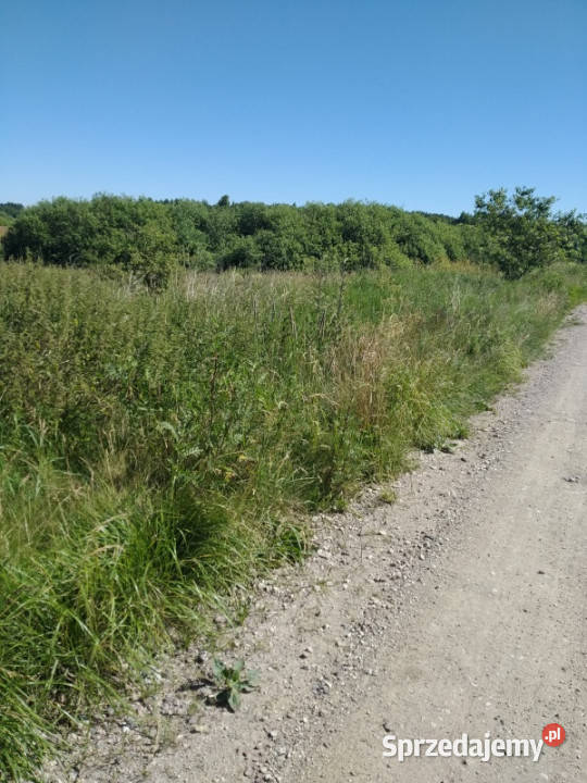 do miasta i do lasu z działki 49zł/m2 warmińsko-mazurskie Jesionowo