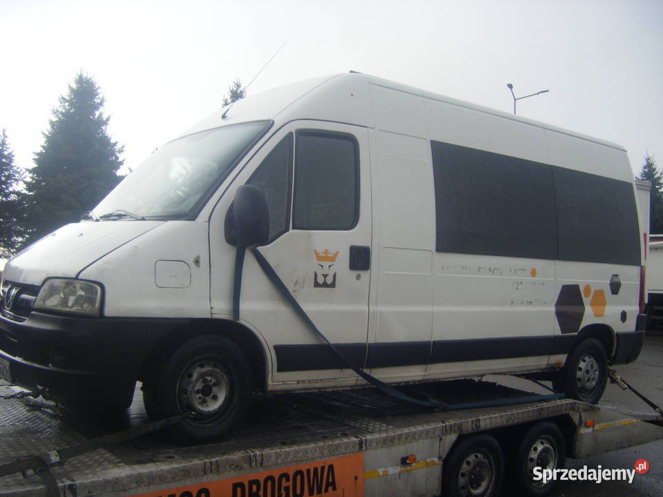 Peugeot Boxer Fiat Ducato Osobowy Oszklony na Peugeot podkarpackie Rzeszów