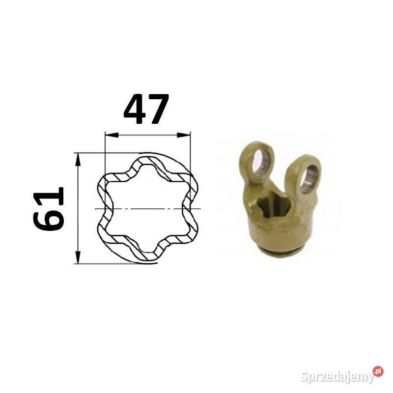 Widłak profilowy zewnętrzny gwiazda 61 małopolskie Kamionna