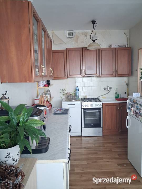 Super Świąteczna Promocja do końca Roku 2925 Żory