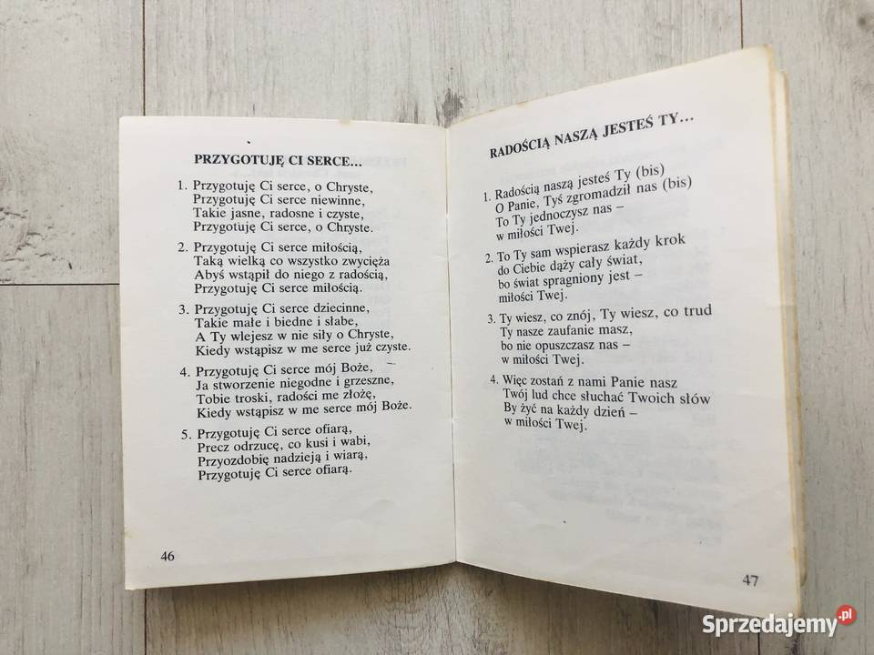 Śpiewniczek Dziecięcy śpiewnik Książki dla dzieci łódzkie Łódź