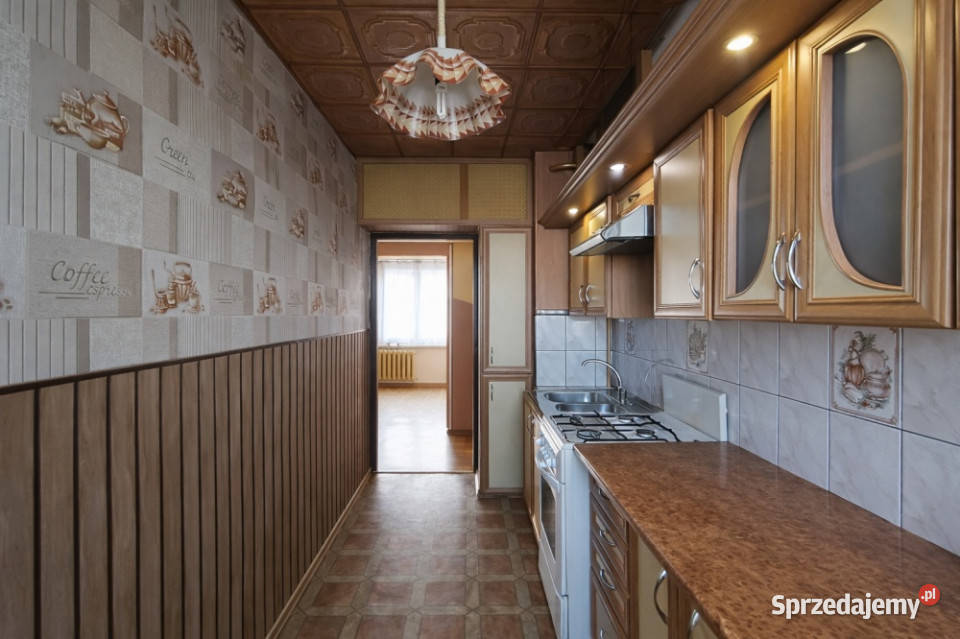 3 pok 2 piwnice Czeladź os Dziekana PROWIZJA 0 śląskie