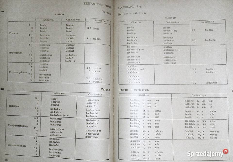 Gramatyka opisowa języka łacińskiego Jan miękka Chełm sprzedam