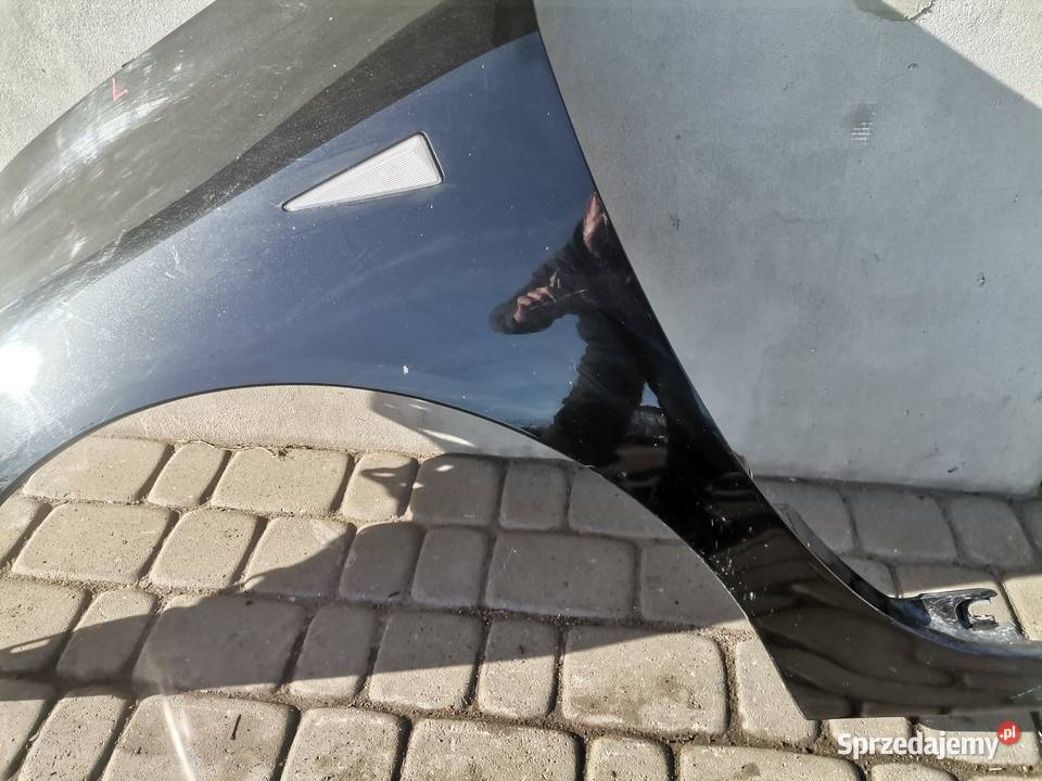 RENAULT ESPACE IV BŁOTNIK LEWY PRZÓD NV676 Nowy Sącz sprzedam