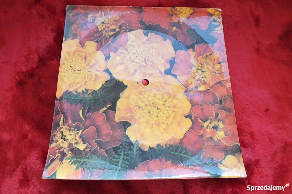 Stara pocztówka dźwiękowa A Rosiewicz Żary