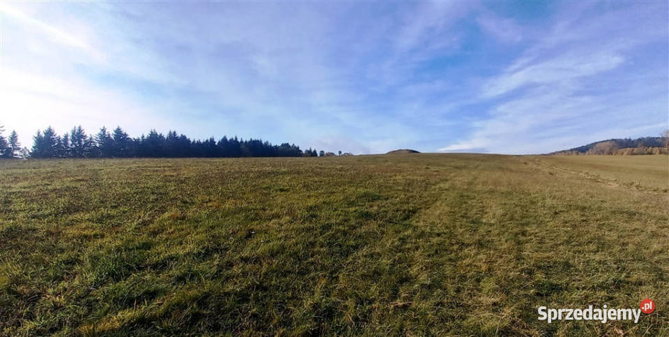 Widokowa działka budowlana dolnośląskie Zagórze Śląskie sprzedam