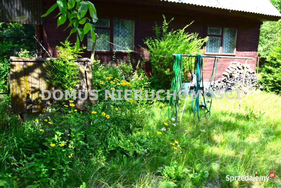 sprzedaży gruntu 700m2 Kazimierz 700m2 sprzedam