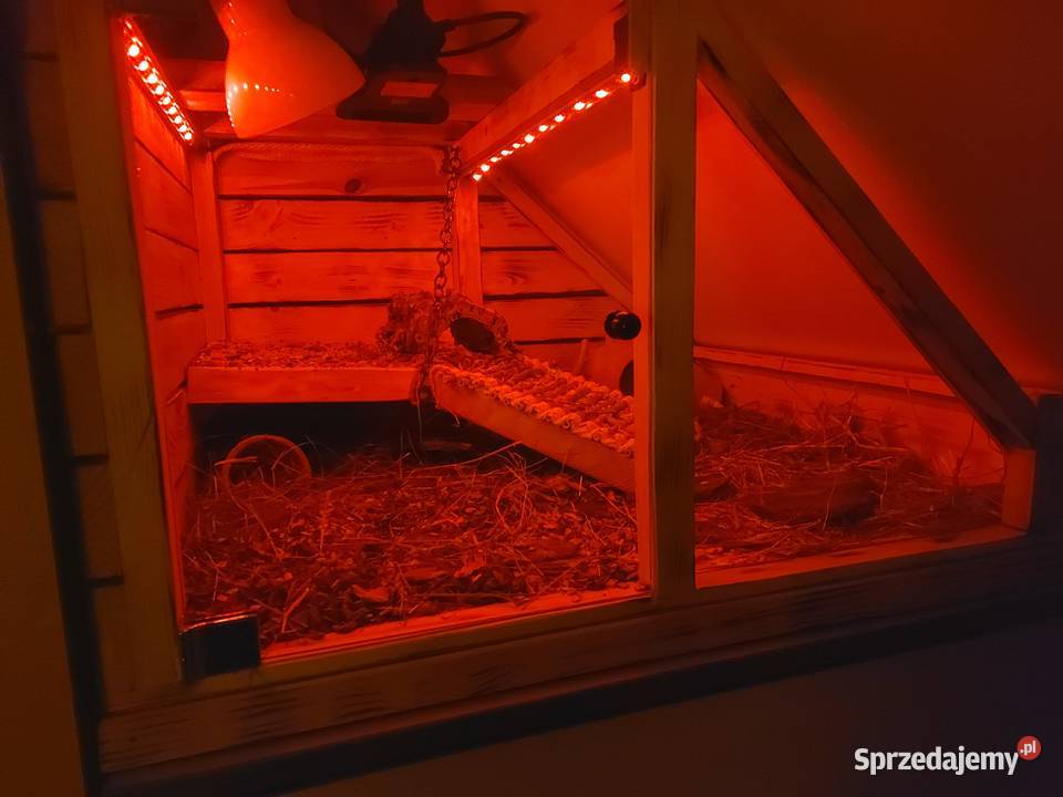 Terrarium na poddaszeskośne żółwia gekona węża