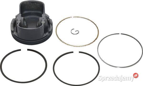 Zespół tłoka 799270