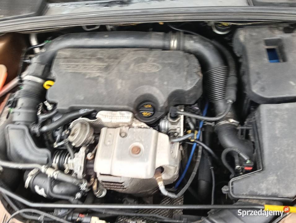 Ford Focus benzyna z Niemiec Nowy rozrząd Samochody osobowe Sieroszewice