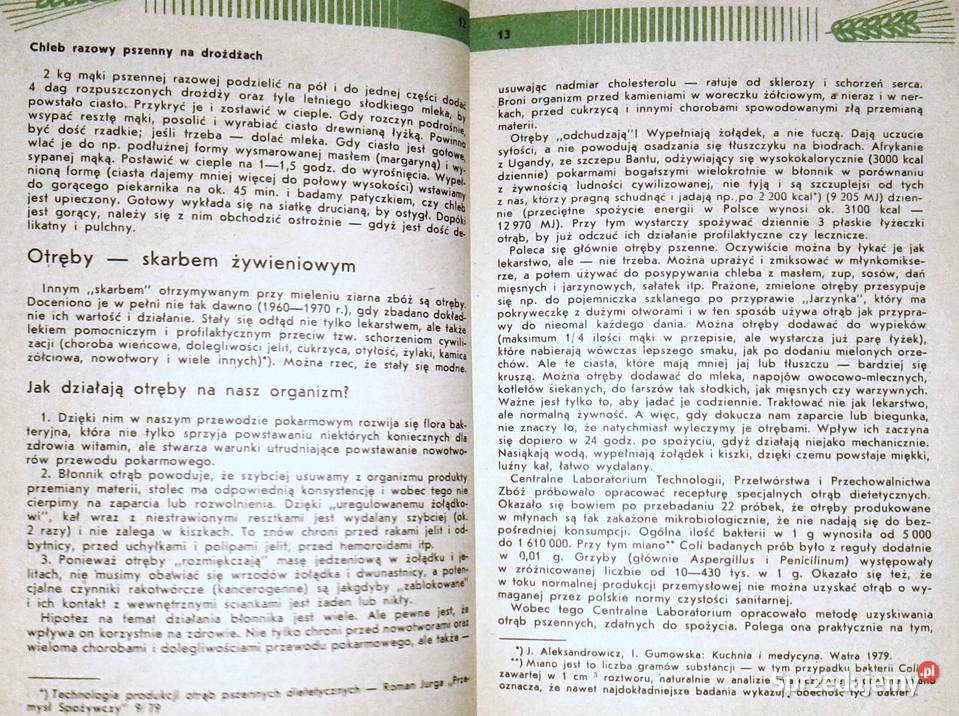 Bądź zdrów smacznego Irena Gumowska miękka