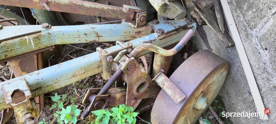 Pług dwuskibowy Mława