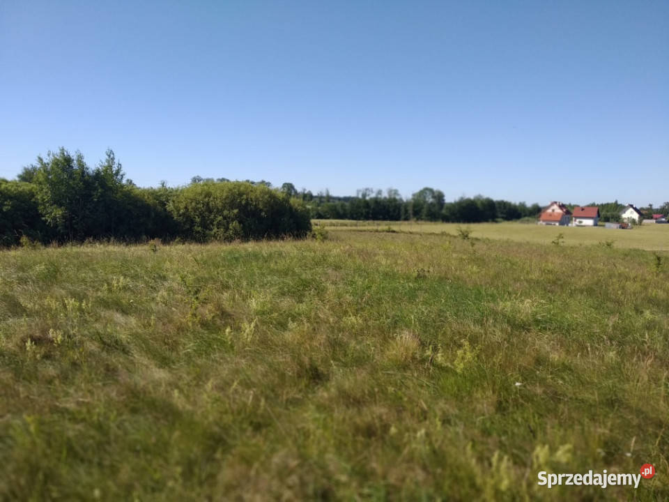 sprzedam działkę z bajorkiem i na działce Jesionowo