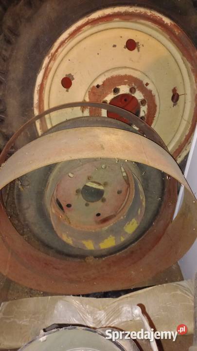 Koparka Białoruś Wejherowo