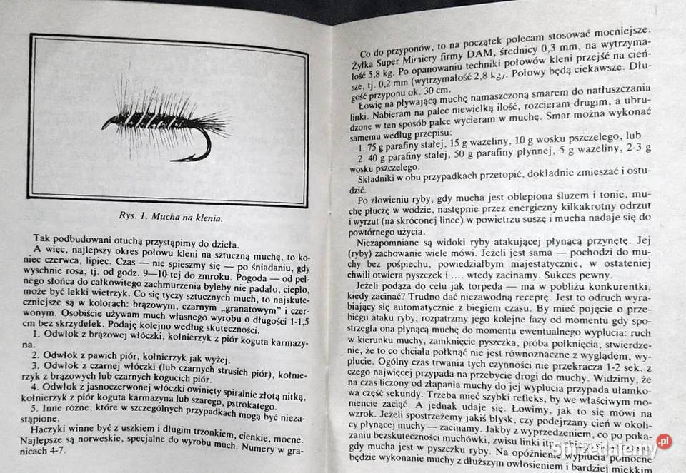 Kleń Stefan Strogulski Rok wydania 1987 Chełm