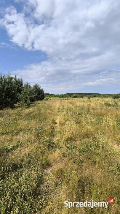Sprzedam działkę 17 PKP Studzianki Nowe Miękoszyn sprzedam
