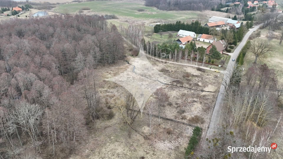 Działka na Mazurach Rogojny jezioro Łaźno WZ