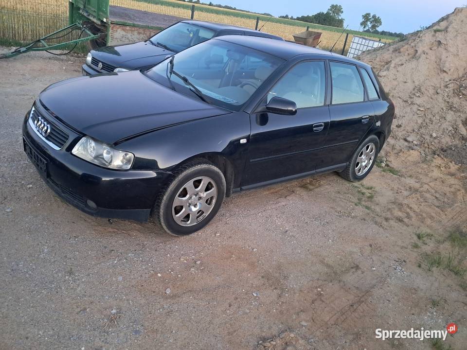 Audi A3 Fl 16 2000r 5 Drzwi Wszystkie części Płońsk