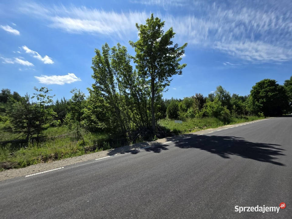 Działka 8116m2 Pałki Sprzedaż sprzedam