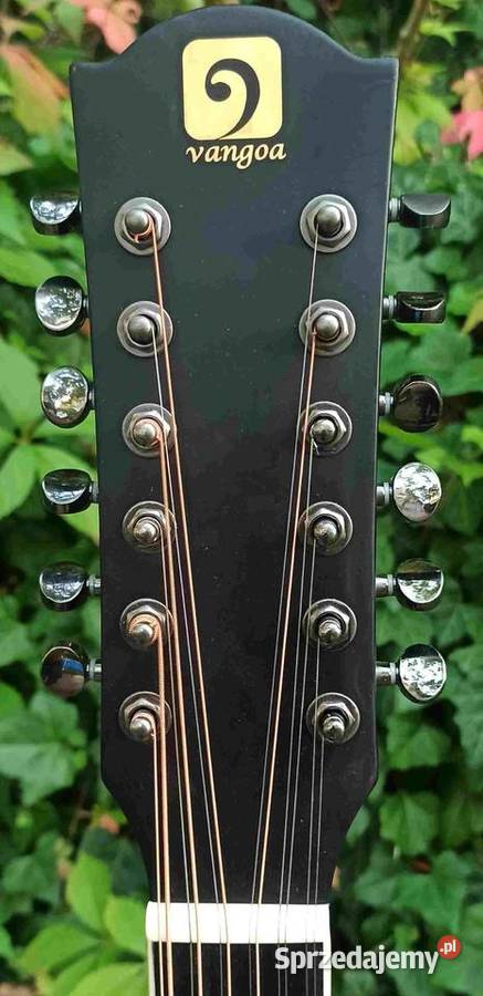 Nowa gitara elektro akustyczna 12strunowa Vangoa Gitary i akcesoria Tuszyn