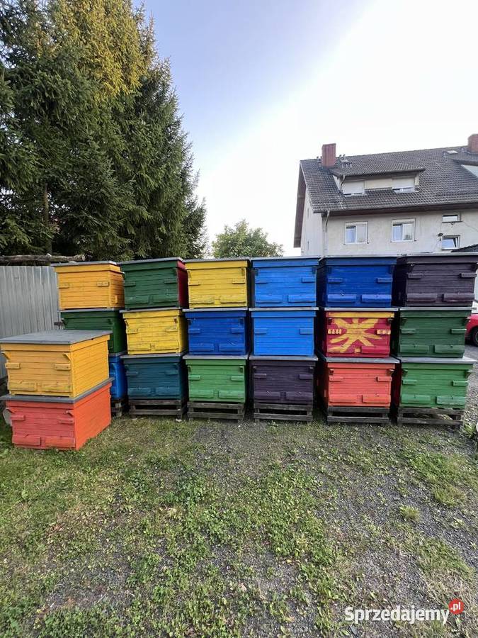 Ule Dadant drewniane 18ramkowe Oleszna Podgórska