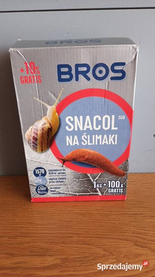 Bros snacol na ślimaki Kraków