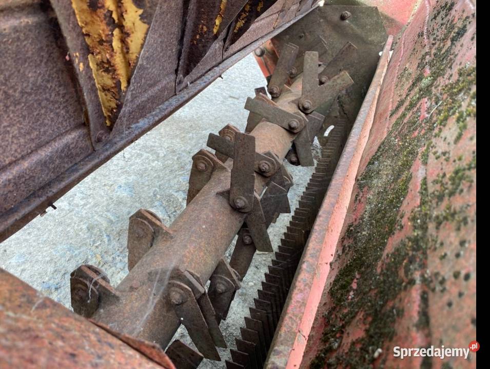 Sieczkarnia Massey Ferguson Bychawa