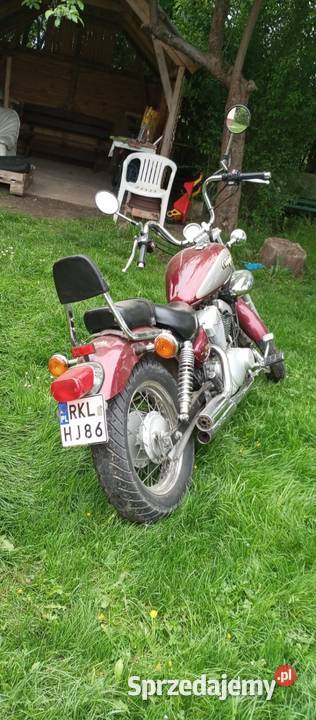 Yamaha Virago 125 Dzikowiec