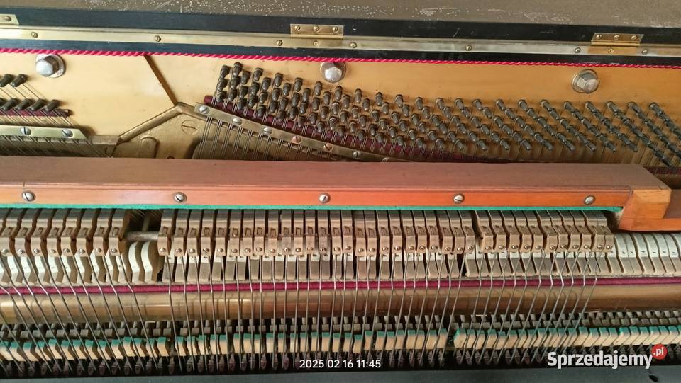 Pianino Carl Quandt Pozostałe