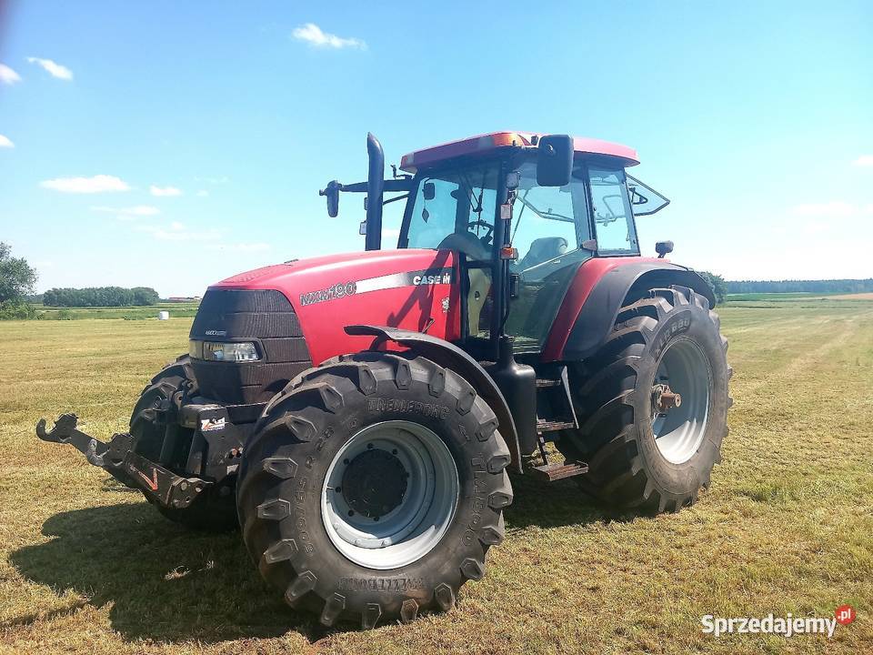 Case mxm 190 stan celujący Faszcze