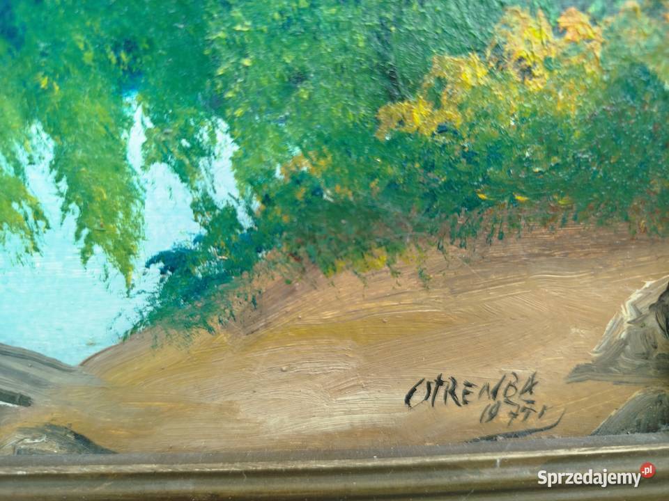 Obraz olejny na płycie alpejski krajobraz sygn Opole