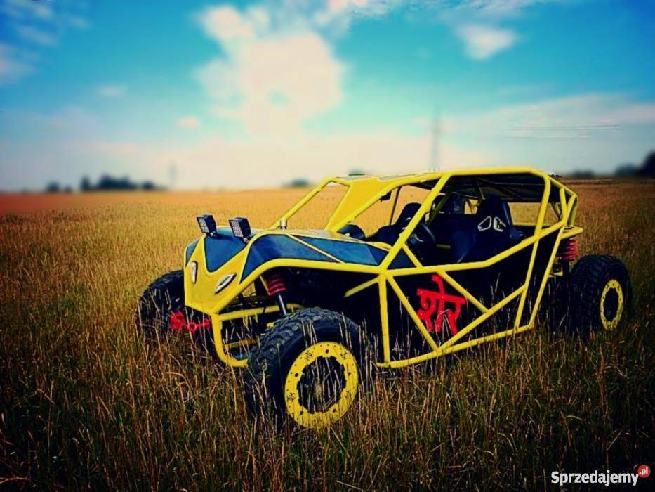 Budowa projektowanie i sprzedaż Buggy
