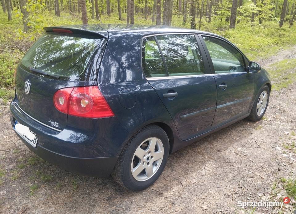 Volkswagen Golf V 14 mpi nieuszkodzony Oleśnica sprzedam