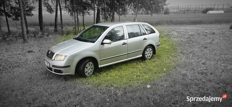 Skoda fabia 2007 19 tdi 101 zadbana asystent parkowania Świerszczów