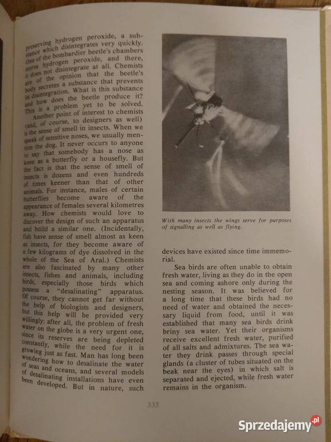 Man and Animals Dmitriyev Antykwariat Gdańsk