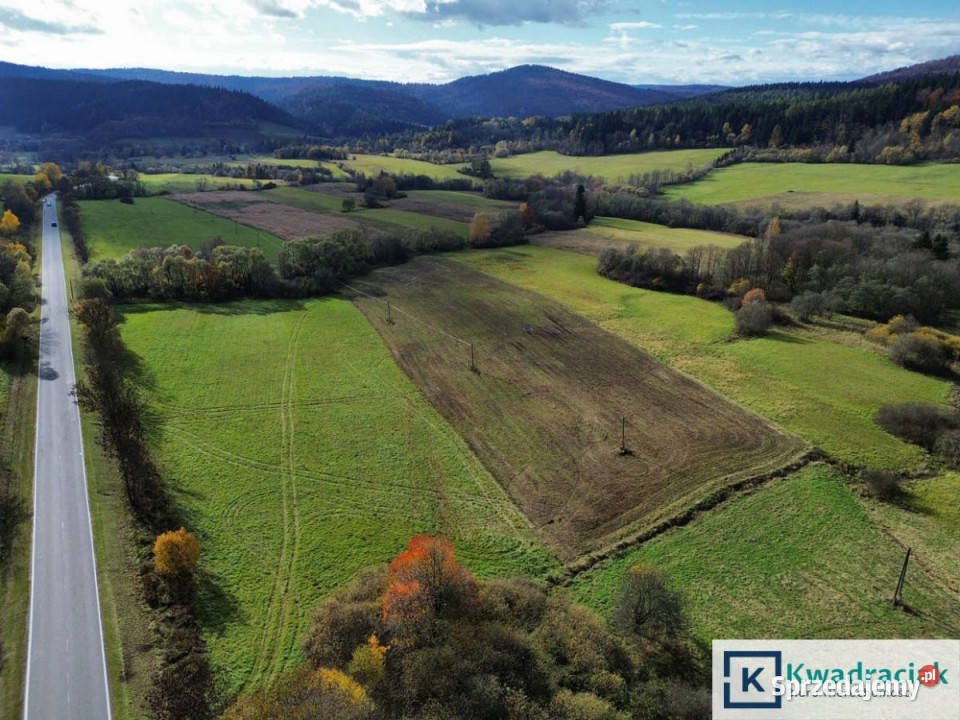sprzedaży gruntu 587000m2 Daliowa podkarpackie