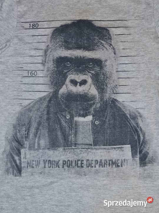 Zestaw chłopiec koszulki spodenki Adidas Goryl