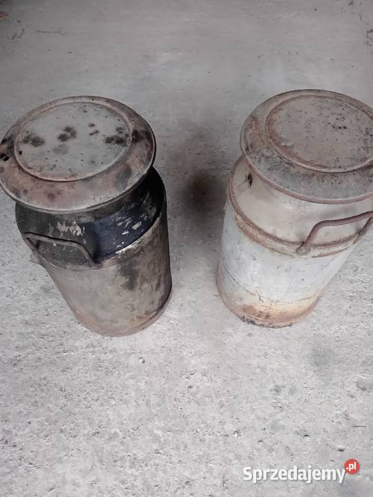 Banki baniaki beczmi Łopuszno