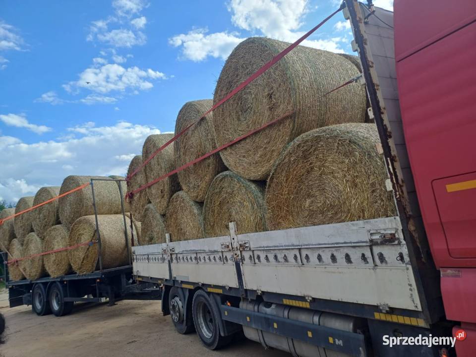 Man TGA Specjalne Ciechanowiec