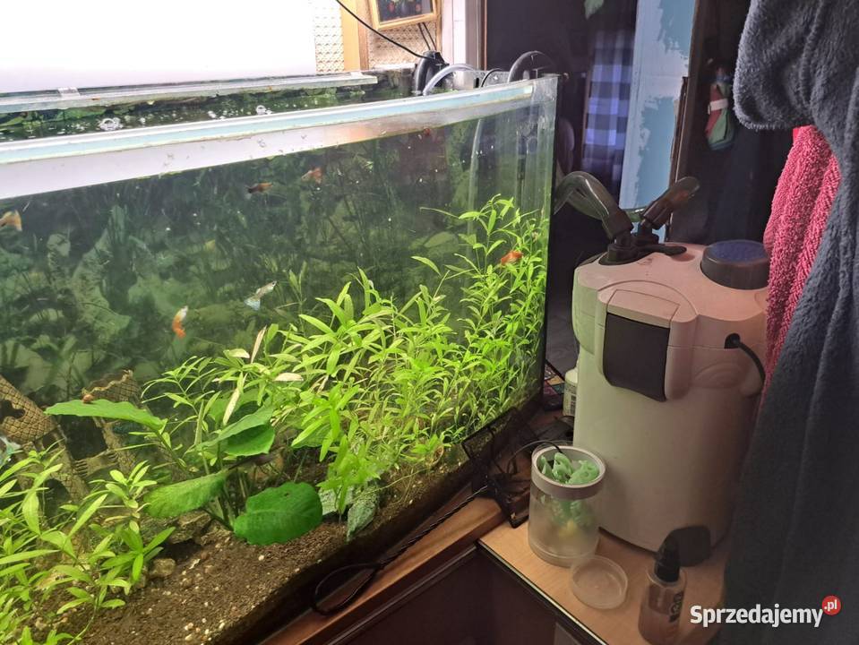 Sprzedam duży akwarium